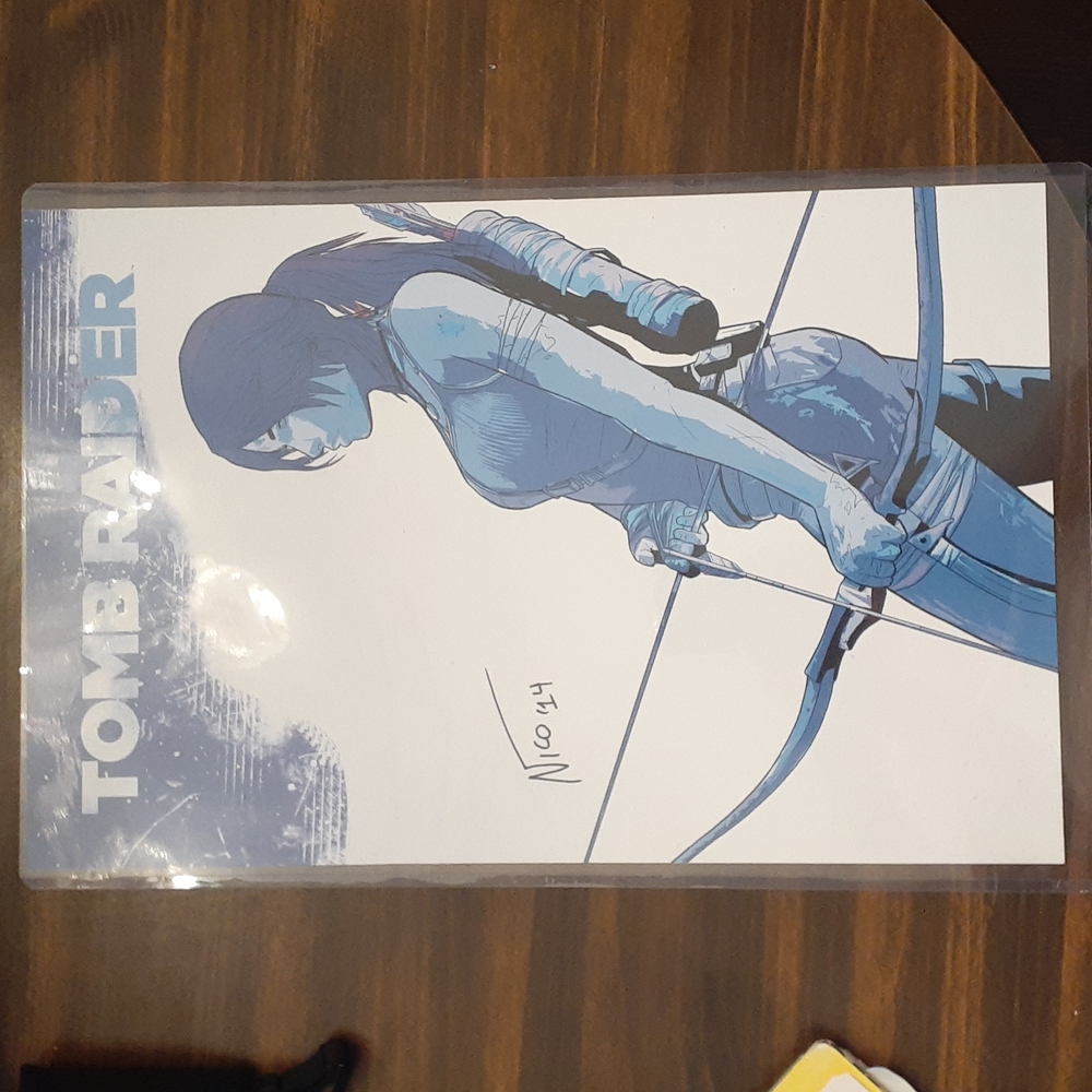 Super Rare Tomb Raider Lara Croft Comic Book Poster Signed Dark Horse Comics